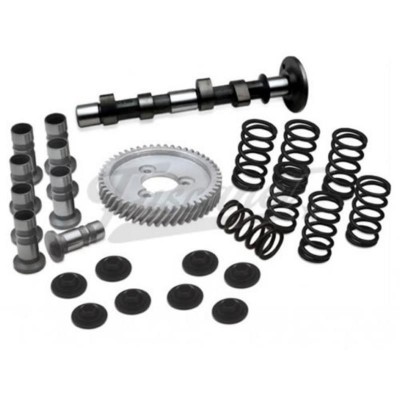 Kit potência motor Scat C-25 com mola simple