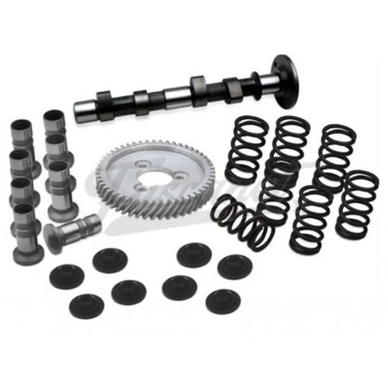 Kit potência motor Scat C-25 com mola simple